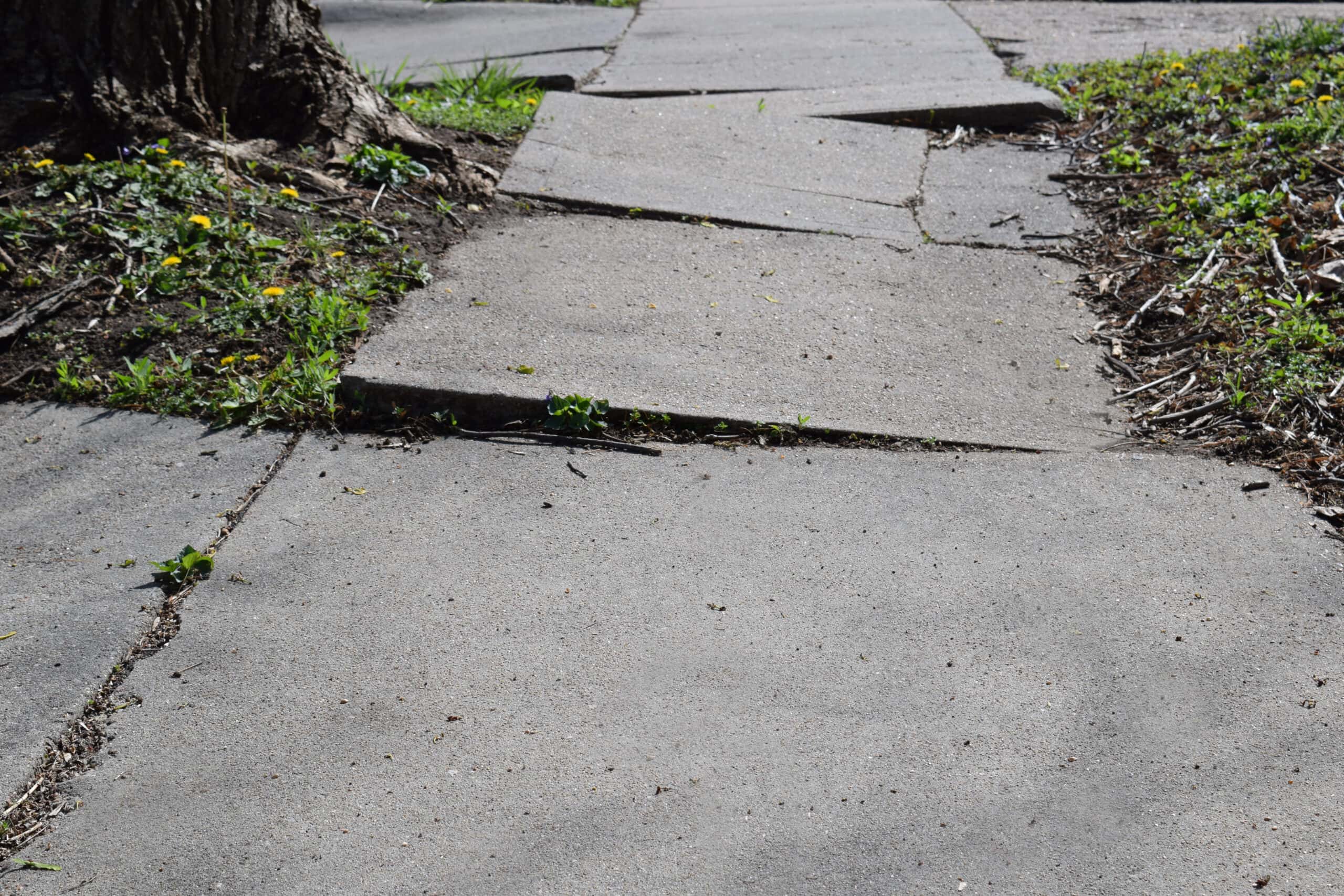 Uneven cracked broken public sidewalk making it dangerous to walk